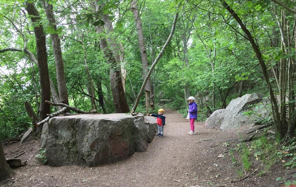 Kaksi lasta leikkii Katariinanlaakson luonnonsuojelualueen vehreässä metsässä, suuren kiven juurella.