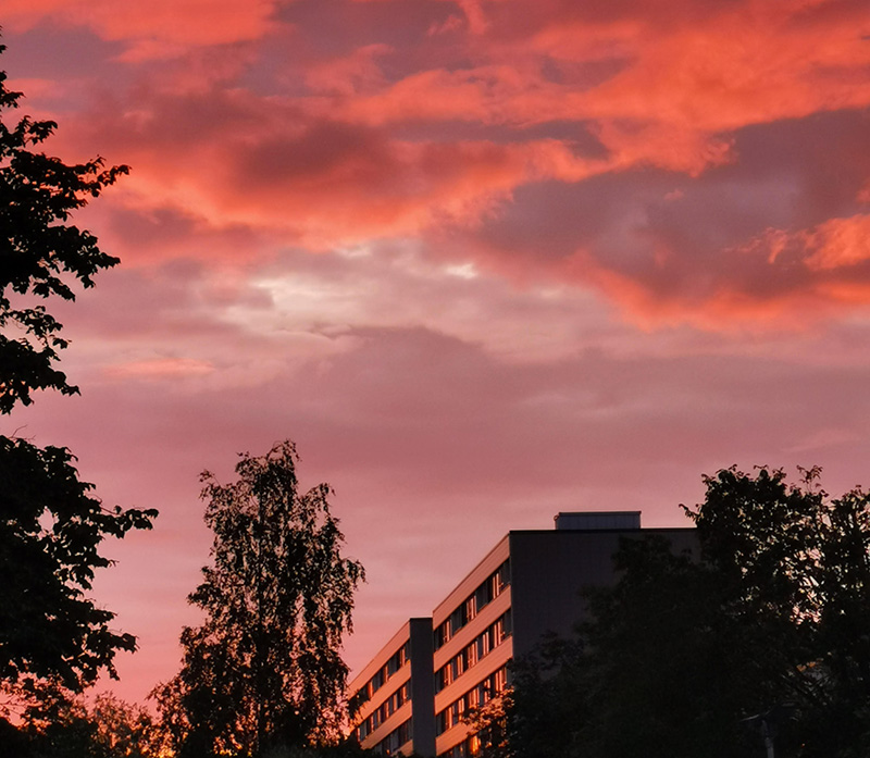 Auringonlaskun vaaleanpunaiseksi värjäämä taivas, jota vasten kohoaa kerrostalo ja puita Runosmäen asuinalueella Turussa.