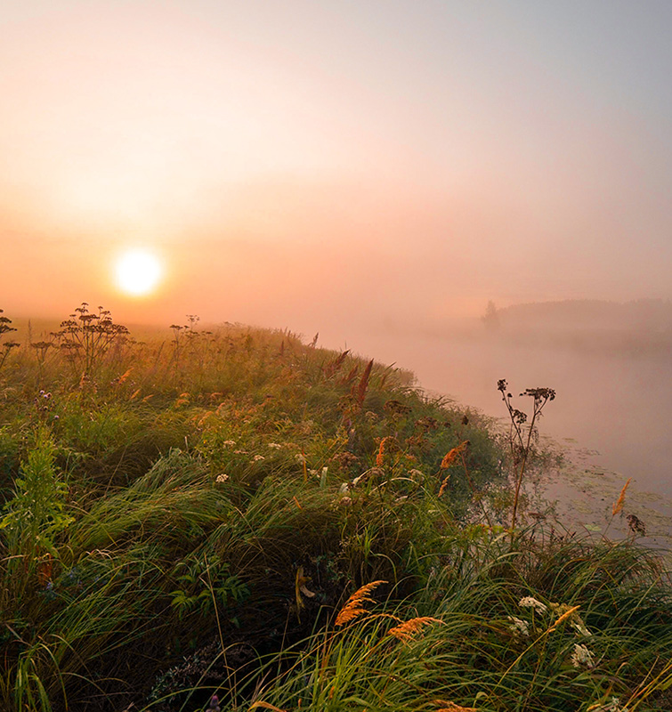 Sun shining through morning fog over a field on a riverbank of River Aura in Kaarina.