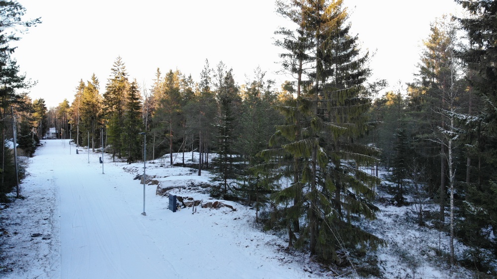 Kuva talvisesta Pohjantyttärenkadusta, jossa on katulamput ja ympärillä kuusimetsää.