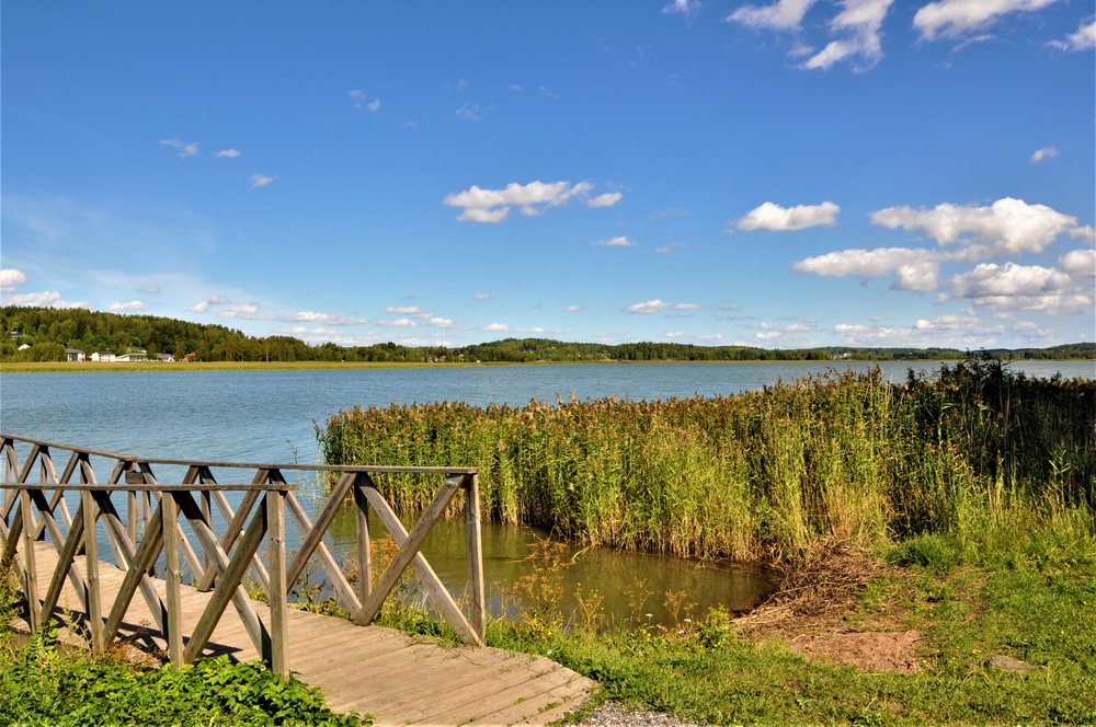 The shore of island of Kuusisto in the summertime. There is a dock and some reeds by the sea.