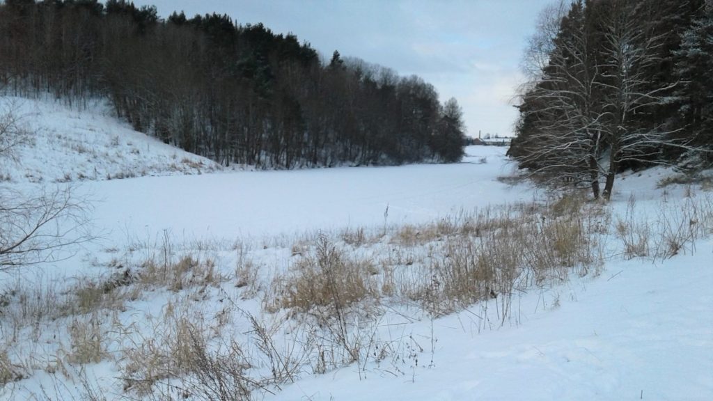 Upper Aura river in Halinen in the wintertime. The river is covered with ice and snow and there are forests on both riverbanks.