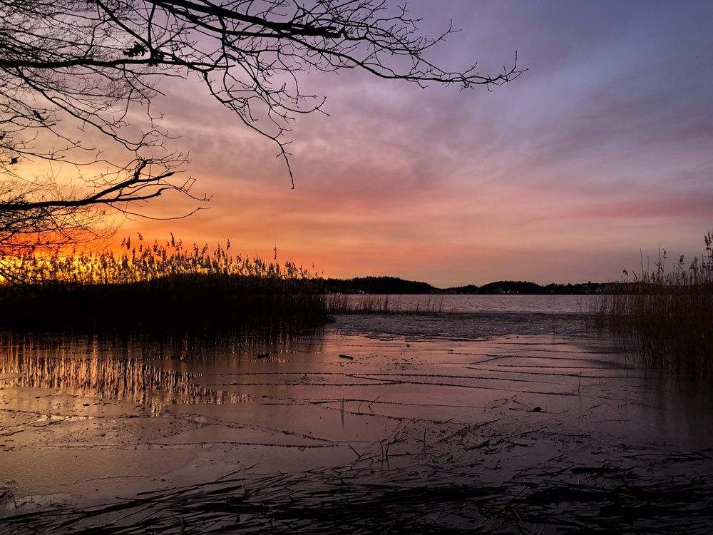 Auringonlasku värjää Kaarinan Lemunniemessä taivaan oranssiksi ja violetiksi hieman jäätyneellä merellä, jossa kaislat ja oksat näkyvät siluettina taivaanrantaa vasten.