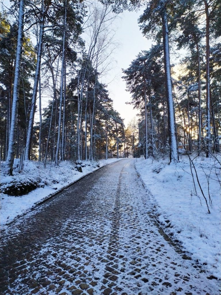 The road that leads to Retrodorm in Luolavuori in Turku is covered with snow and surrounded by pine trees.