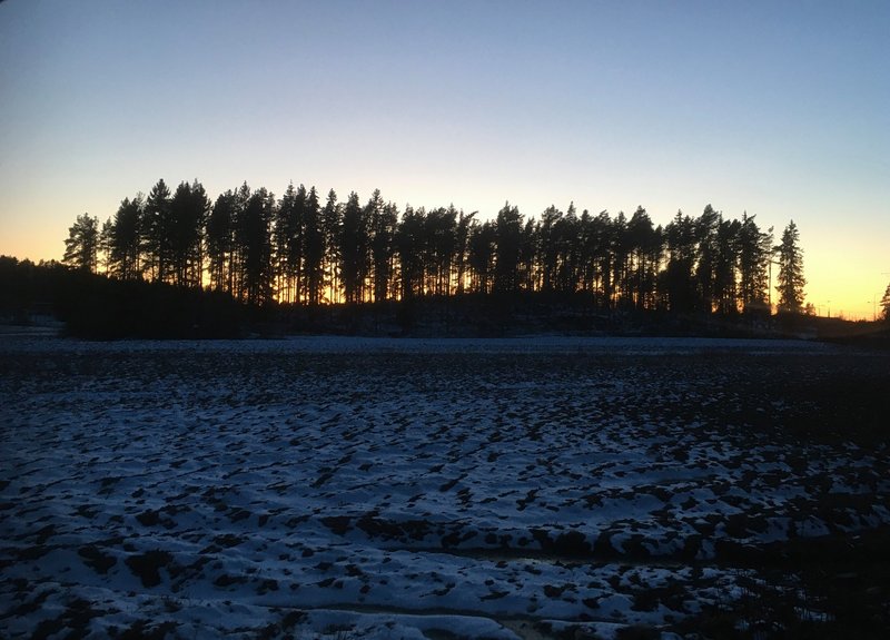 Auringon viimeiset säteet pilkistävät puiden takaa Kaarinan Piikkiössä.