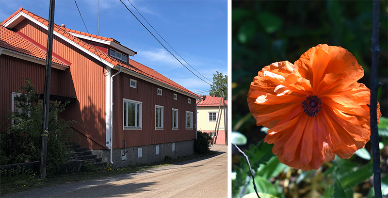 Vasemmalla oranssi puutalo Turun Mäntymäessä ja oikealla oranssi unikko