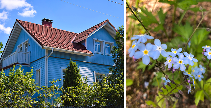 Vasemmalla sininen puutalo Turun Nummessa ja oikealla sininen lemmikki