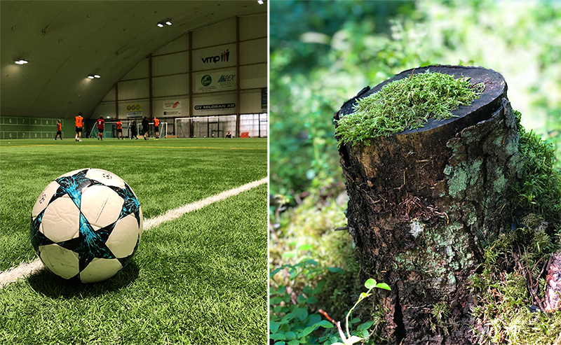 Vasemmalla Impivaaran jalkapallohalli Turussa ja oikealla kanto metsässä Turun Mälikkälässä