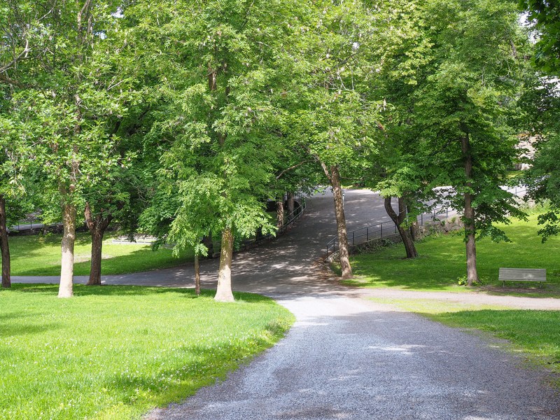 Verdant park and its sand roads on a sunny summer day.