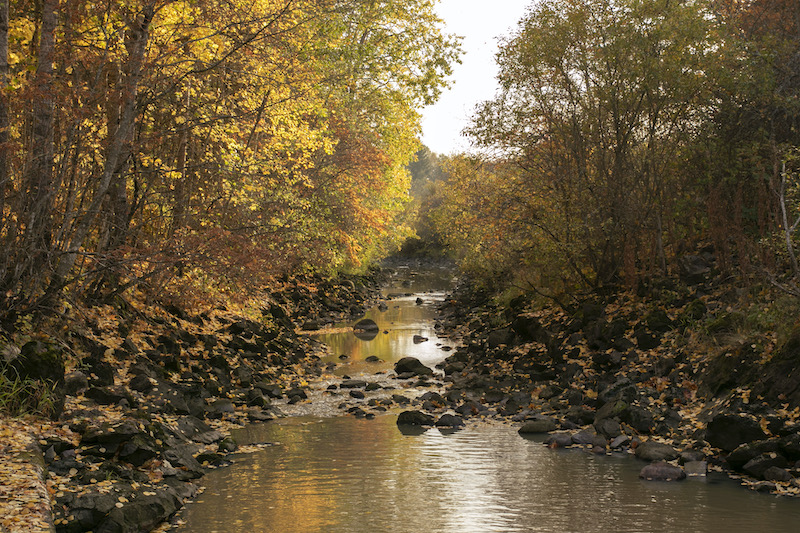 Kivikkoinen joki, jonka ympärillä ruskan värjäämää metsää.