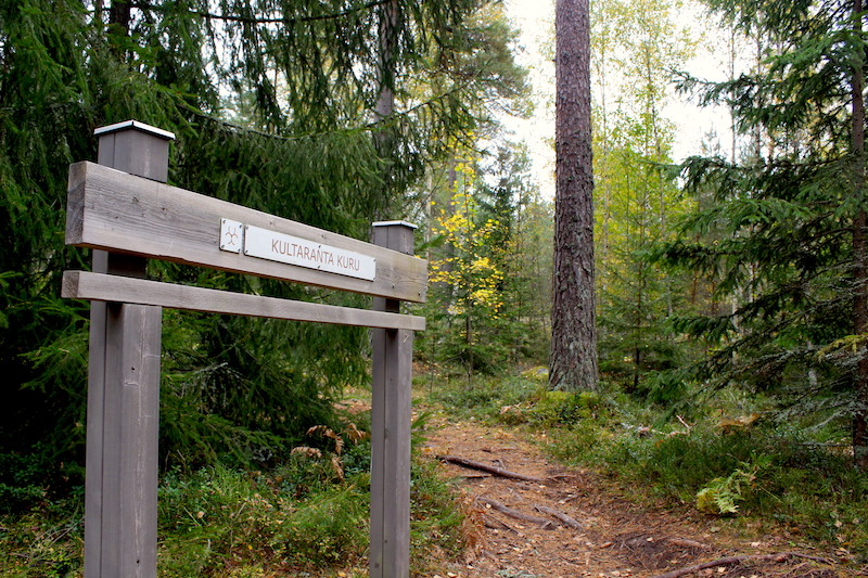 A wooden sign of Kultaranta Kuru nature trail, the forest path and pine forest.
