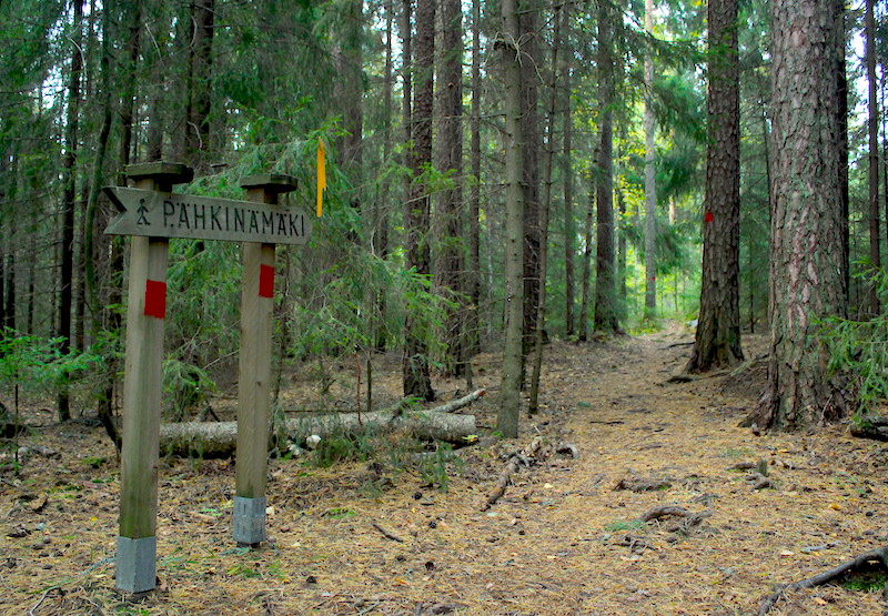 A sign that shows the way to Pähkinämäki by the path in a pine tree forest. 