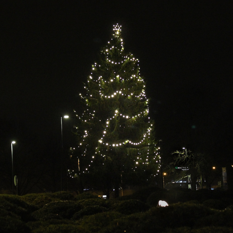 Raision keskustassa koreileva suuri kaarina roikkuvin valonauhoin koristeltu joulukuusi.