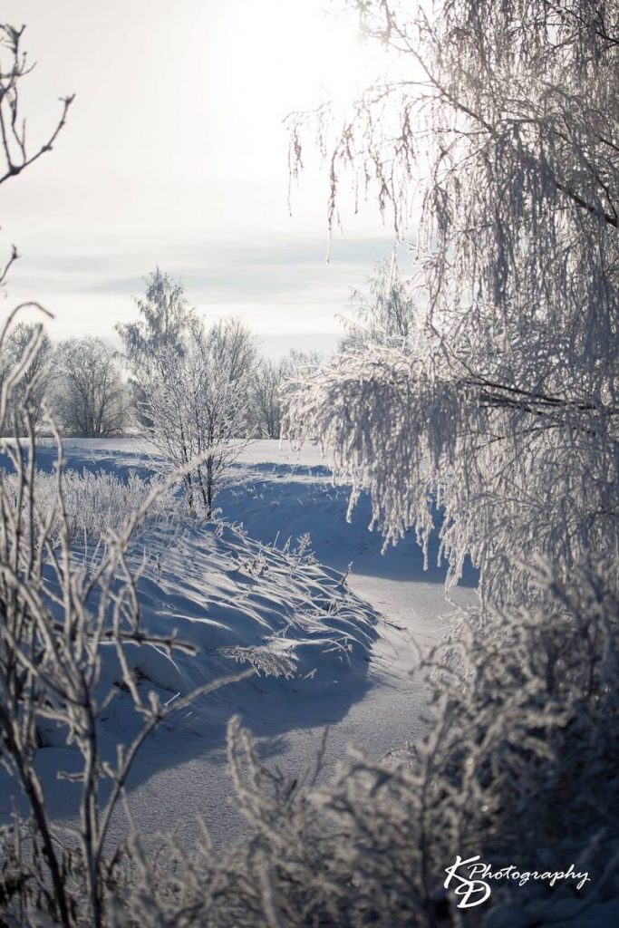 Puiden jäätyneitä oksia lumisessa talvimaisemassa Nousiaisissa Hirvijoella.