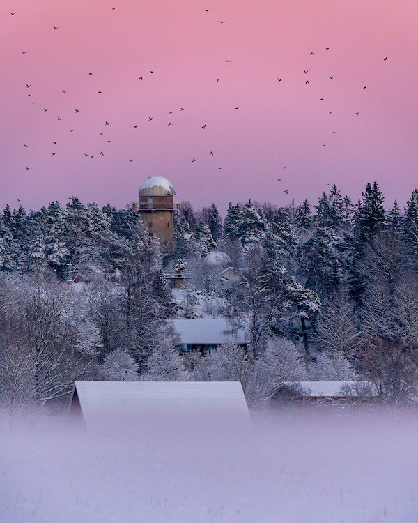 Lintuparvi lentää tähtitornin ympärillä lumisessa maisemassa 