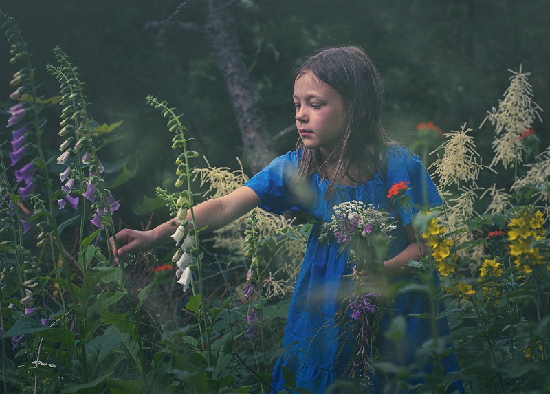 Pieni tyttö sinisessä mekossa poimii erilaisia luonnonkukkia kedolta.