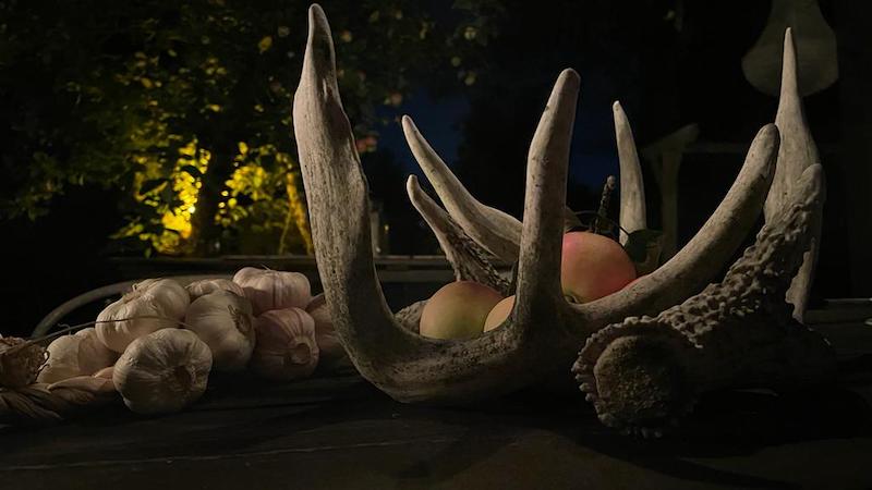 Collection of deer antlers, apples and onions lit by the moonlight 
