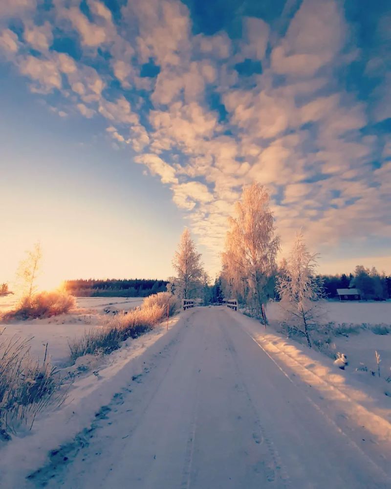 Aurinko loistaa lumen peittämälle tielle peltojen välissä ja saa maiseman näyttämään utuiselta 
