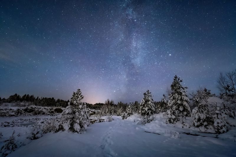 Vintergatan på stjärnhimlen och den snöiga stigen kantad av låga granar.