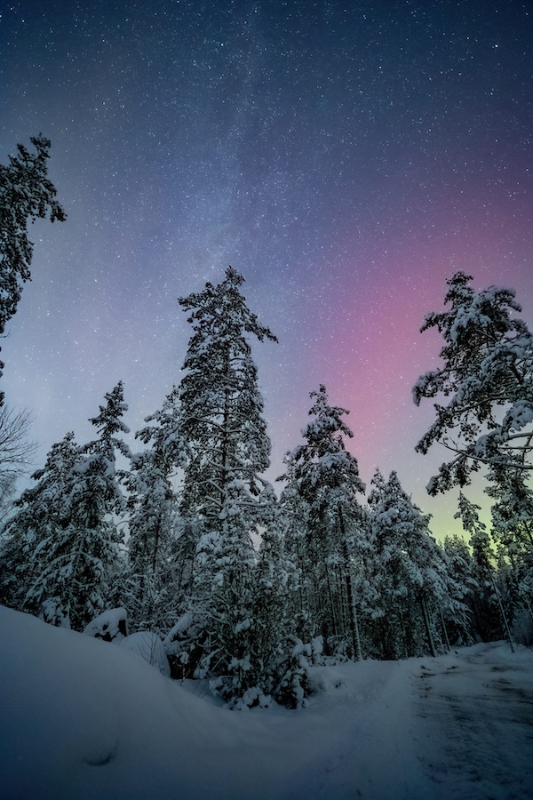 Milky way and northern lights over a snowy forest. 