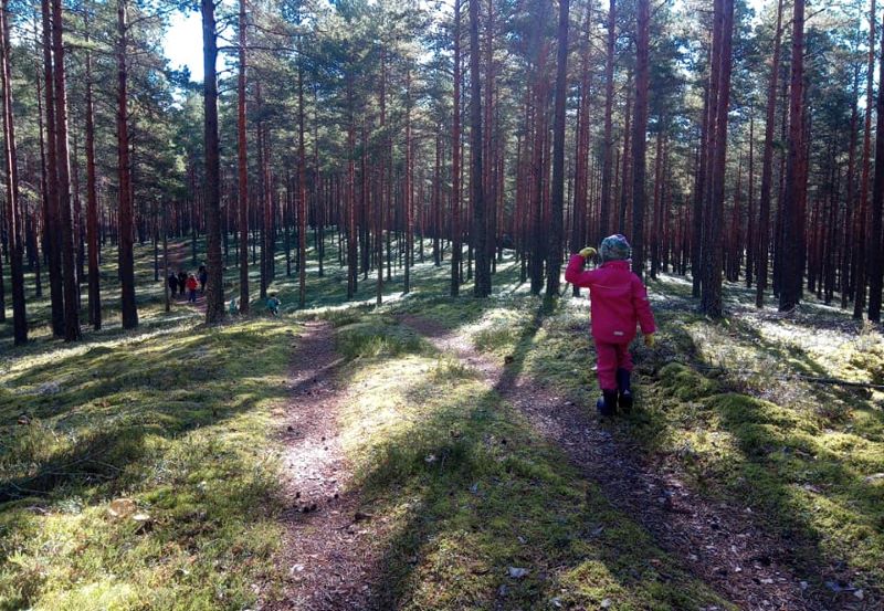 Lapsi kävelee metsässä.
