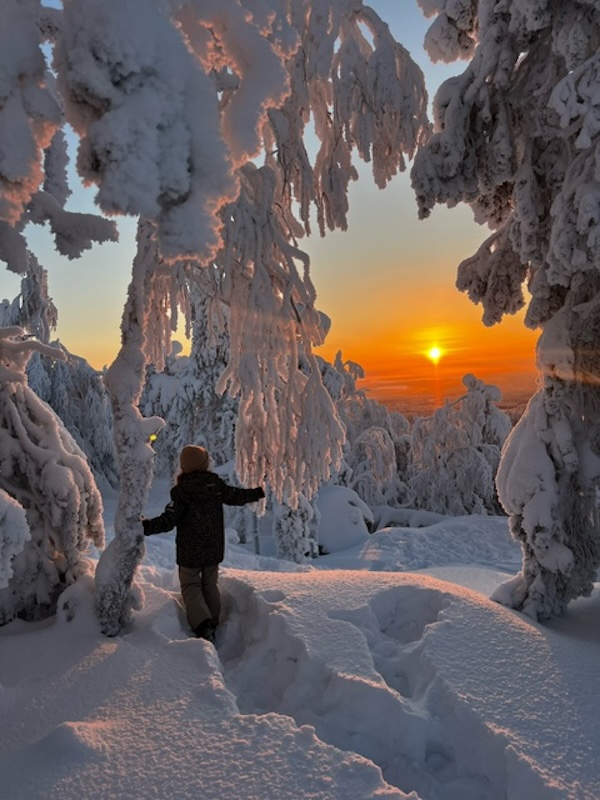 A child is watching the sunset under snow-covered trees. 