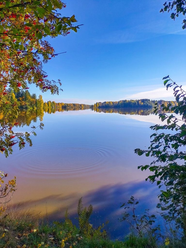 Kokemäenjoki aurinkoisena syyspäivänä. 